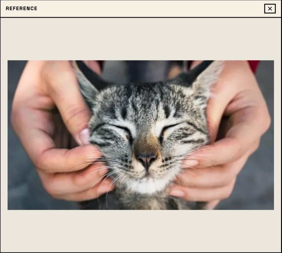 Cat photo converted into a printable bead pattern reference